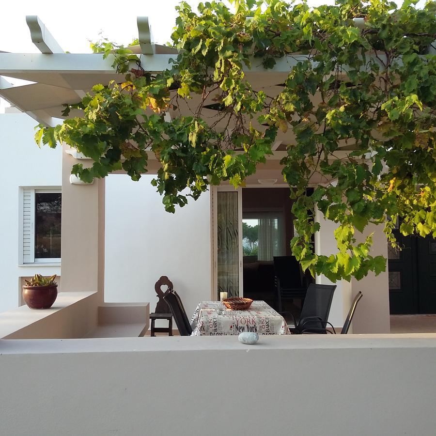 Villa Leonidas Μαστιχάρι Εξωτερικό φωτογραφία