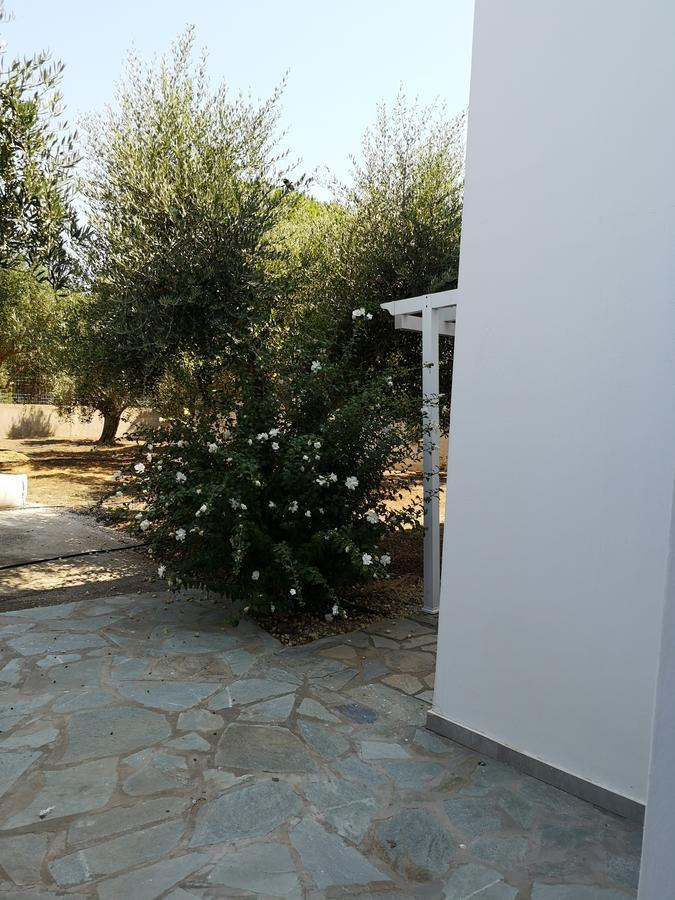 Villa Leonidas Μαστιχάρι Εξωτερικό φωτογραφία